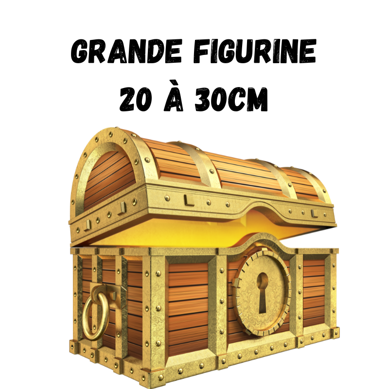 One Piece Mystery Box