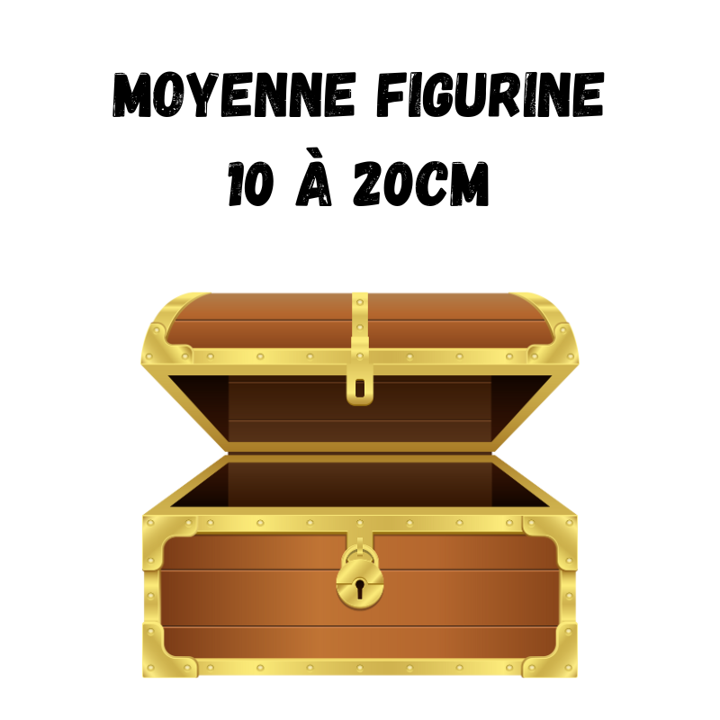 One Piece Mystery Box